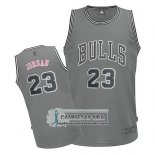 Camiseta Nino Bulls Jordan Gris