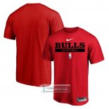 Camiseta Manga Corta Chicago Bulls Practice Performance 2022-23 Rojo