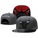 Gorra Chicago Bulls Mitchell & Ness Gris