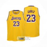 Camiseta Nino Los Angeles Lakers LeBron James NO 23 Icon 2022-23 Amarillo