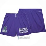 Pantalone Milwaukee Bucks Mitchell & Ness Hardwood Classics Violeta