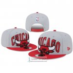 Gorra Chicago Bulls Adjustable 2023 Tip Off Two Tone 9FIFTY Gris