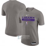 Camiseta Manga Corta Los Angeles Lakers Practice Performance 2022-23 Gris